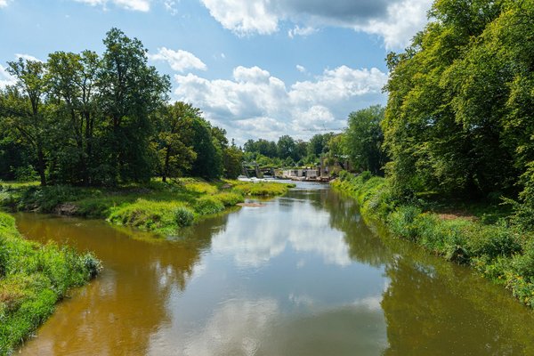 Signs of gingivitis: understanding symptoms and prevention tips